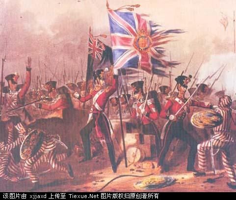 ��Ѫ��������������鿴��ͼ