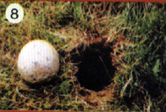 �������´������ͼƬ