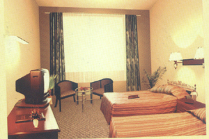 ������ͼ