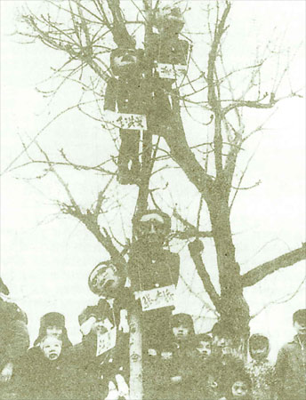 学者揭秘:四人帮垮台消息如何由高层传到民间