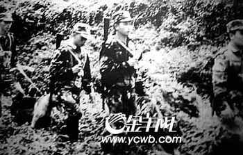 �����н��ܵ���:1962��Ĵ��ģ�Ӹ۷粨(ͼ)