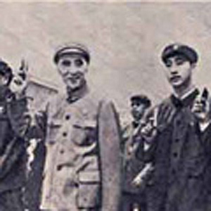 �ֱ�����¼����ܣ�ר�����Ӳ��Ǳ����������