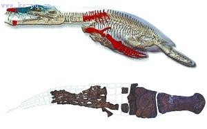 Զ����ʳ�߹��޸�ԭ��ȭ��������߰�����