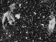 Χ���š�������3376�����ŵĸ������������ߵ粨����ʮ�����ԡ���ͼƬ�ṩ������ѧ������