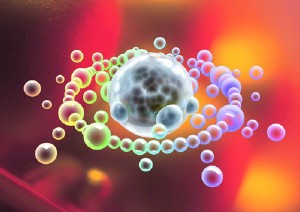 �������ͼ