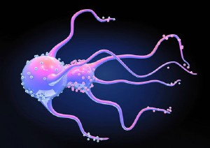 �������ͼ