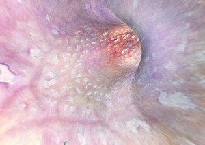 �������ͼ