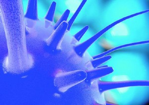 �������ͼ