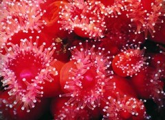 �������ͼ