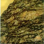 �����ҵĽṹ