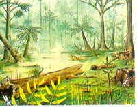 ʯ̿����ֲ�������