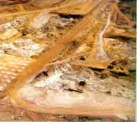 �޴�Ŀ�ɽ����