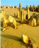 �ɺ���ɳ���γɵ����ص�ò