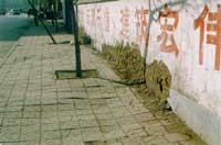 ��������-���й��̽���Ŀ���