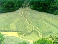 ����ʯ���γɵĳ����