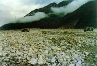 �н��ڵ�����·����