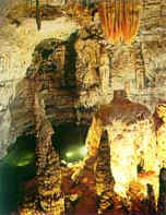 �����ڵ����ܶ��е�ˮ