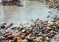 �����벻���ྻ��ˮ