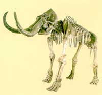 �����ҹ�������������ʯ