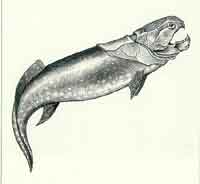 �����ʱ������