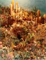 �����͵����ｸ����