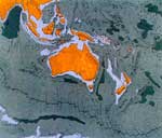 ̫ƽ��������׹���