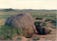 �����ҵ���״�绯