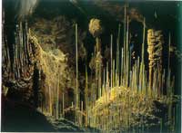 ����ĵ�������