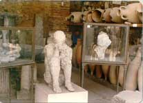 ������ӱ��Ǳ���ɽ�ҽ����ɺ����ǵ�����