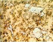 ����΢�����硪����������