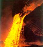 �������ҽ�