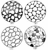 �����ҵĲ�ͬ�ṹ