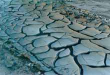 ����-�ɺ��Ĳ���