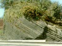 ��״����ʯ