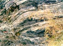 �����ҵ���ò