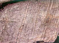 �ṹ�ı��˵���ʯ��������