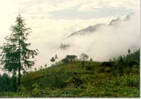 ��ɽ���ֱ�������