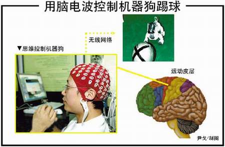 �Ի��ӿ�ϵͳ