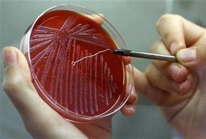 ϸ��������