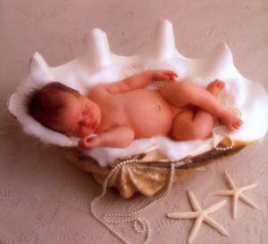 ������,������