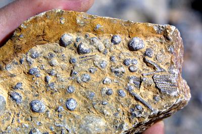 ��������ַ���ຣ