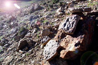 ��������ַ���ຣ