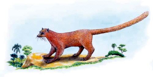 ʳ�����֣�ӡ��