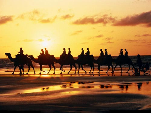 ˿��֮·,����