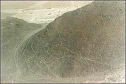 ��˹���޻�������