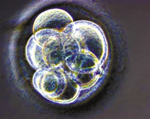 ���»���ɨ����̥����