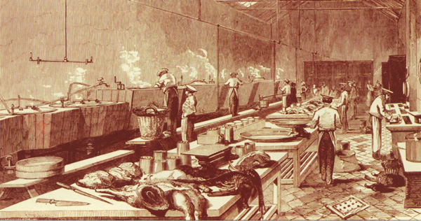 ����֮�������Ĺ�ͷ