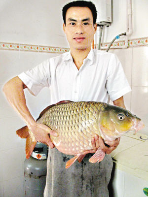 彪悍!广东男子一竿钓起16斤重鲤鱼(图) 彪悍!广东男子一竿钓起16斤重鲤鱼(图)