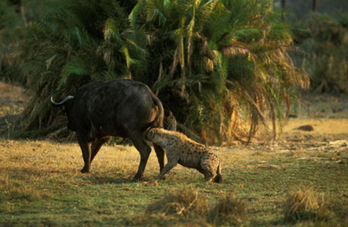 �๷���ز��Է�ʽ:�������ָ���ʹ��̱��(ͼ)