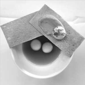 ������Ļ�ѧ�����������ϼ����Һ��(ͼ)